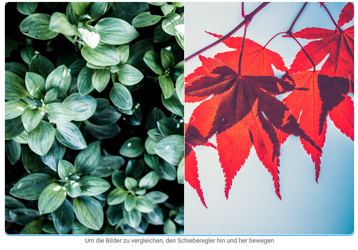 Bildvergleich Modul auf der Webseite